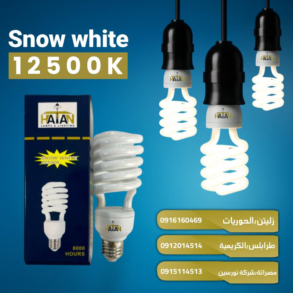 524568546 1637020681007510 8088341014530002927 n (1)